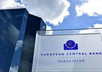 ECB başkan yardımcısı: Kripto paralar gerçek yatırım değil