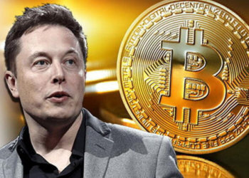 Elon Musk Bitcoin fiyatını düşürdükçe düşürüyor! CİMER'e şikayet edildi...