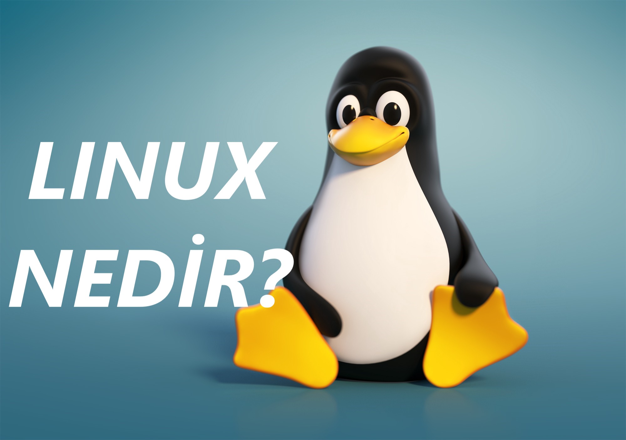 Образ линукс. Тукс линукс. ОС Linux Тукс. Пингвин Tux. Пингвин линукс.