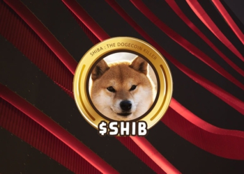 SHIB nedir? Shiba Inu (SHIB) Binance’da listeleniyor!
