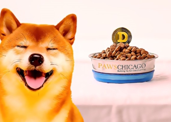 Hayvan Sahiplendirme Platformu PAWS Chicago, "Dogenations" Adlı Kripto Bağışı Başlattı!