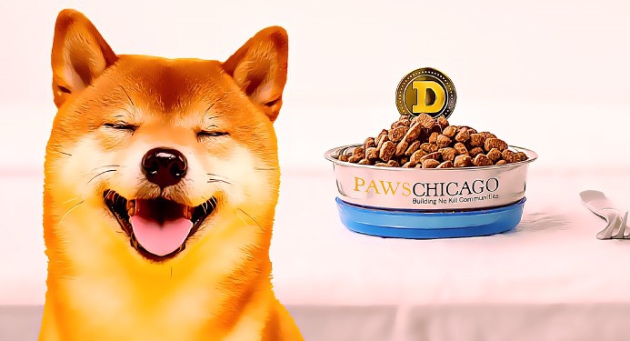Hayvan Sahiplendirme Platformu PAWS Chicago, "Dogenations" Adlı Kripto Bağışı Başlattı!
