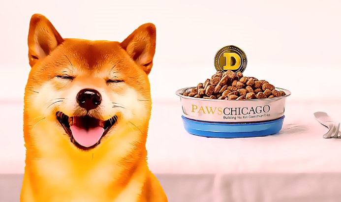 Hayvan Sahiplendirme Platformu PAWS Chicago, "Dogenations" Adlı Kripto Bağışı Başlattı!