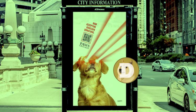  PAWS Chicago Dogenations