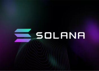 Yeni NFT satışa sunuldu, Solana tarihinin en yüksek seviyesine ulaştı!