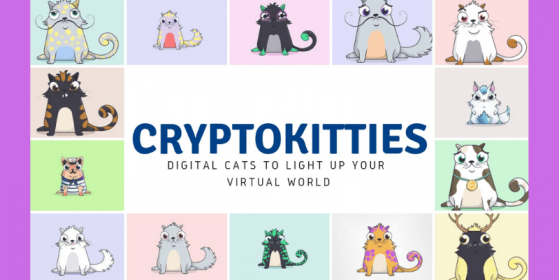 Google, Blok Zincir Firması Dapper Labs İle Ortaklık Kurdu!