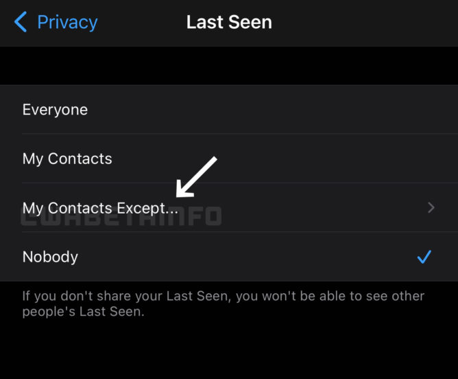 WhatsApp’a Yeni Özellik Geliyor!