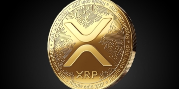 XRP Fiyatı Yeni Bir Zirve İçin Bu Seviyeleri Yakalamalı!
