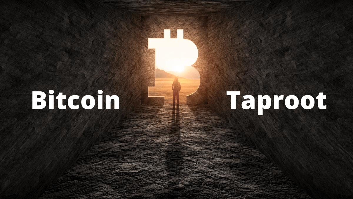 bitcoin taproot