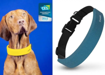 Invoxia, CES'te Köpekler İçin Sağlık İzleme Akıllı Tasmasını Tanıttı!