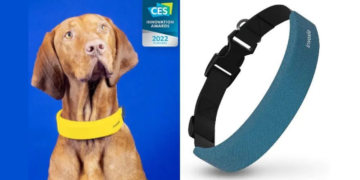 Invoxia, CES'te Köpekler İçin Sağlık İzleme Akıllı Tasmasını Tanıttı!