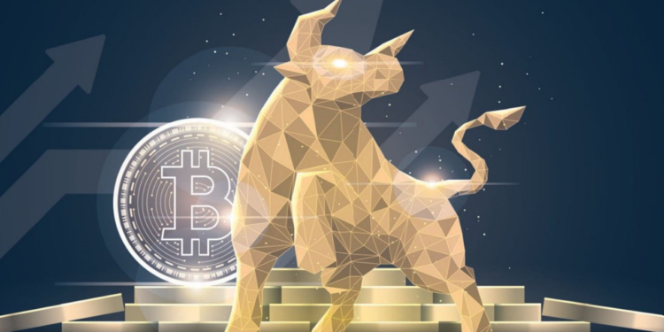 Yeni Bir Bitcoin Boğa Piyasası Ne Zaman Gelir?