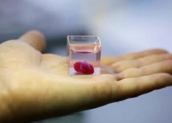 Araştırmacılar, Gerçekte Çalışır Dünyanın İlk 3D Basılı İnsan Kalbini Geliştirdi!