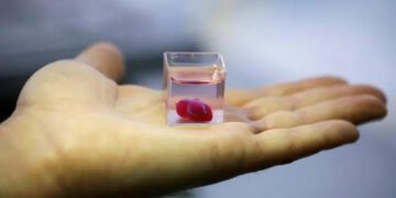 Araştırmacılar, Gerçekte Çalışır Dünyanın İlk 3D Basılı İnsan Kalbini Geliştirdi!
