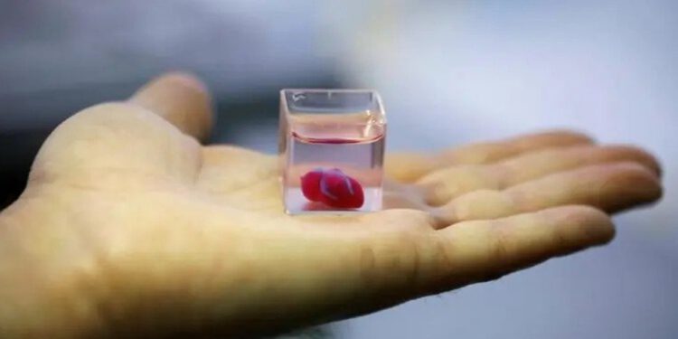Araştırmacılar, Gerçekte Çalışır Dünyanın İlk 3D Basılı İnsan Kalbini Geliştirdi!