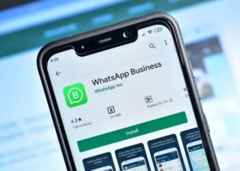 whatsapp business