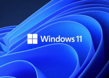 Windows 11