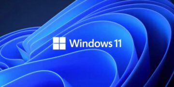 Windows 11