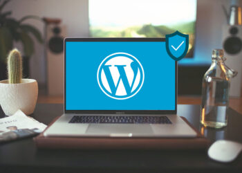 WordPress Nedir? Nasıl Kurulur? En İyi WordPress Temaları Hangileridir?