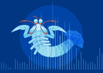 Mantis Botnet, Haziran Ayında En Büyük HTTPS DDoS Saldırısına Güç Verdi!