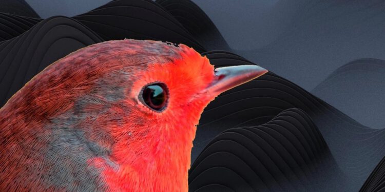 Microsoft-Bircok-Windows-Agina-Bulasan-Yuksek-Riskli-Solucan-Konusunda-Uyariyor