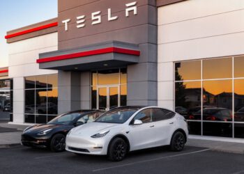 Tesla Store