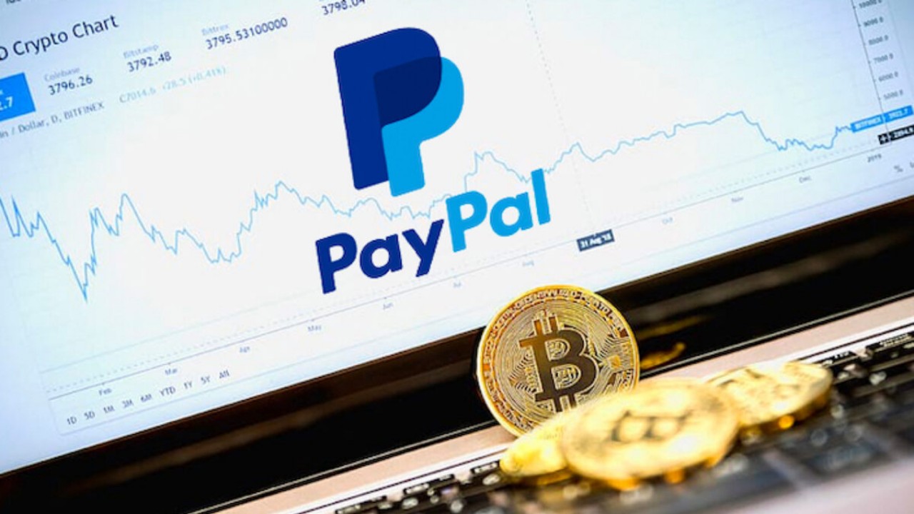 paypal