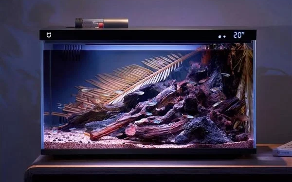 Xiaomi Akvaryum Çıkardı!
