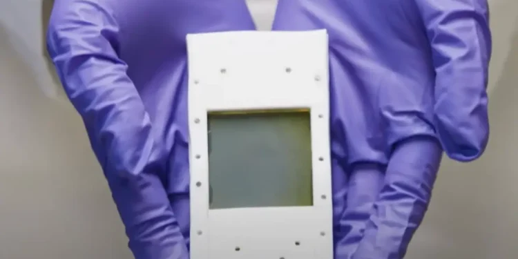 Yapay Fotosentez Cihazı Ucuz Yeşil Hidrojen Vaat Ediyor Yapay-Fotosentez-Cihazi-Ucuz-Yesil-Hidrojen-Vaat-Ediyor