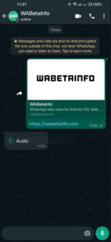 WhatsApp Kaybolan Sesli Mesajlar Üzerinde Çalışıyor!