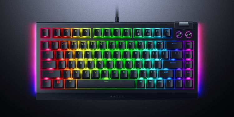 Razer BlackWidow V4 %75