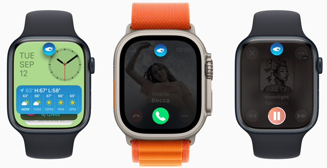 watchOS 10.1