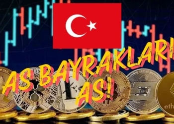 türkiye coin yatırım