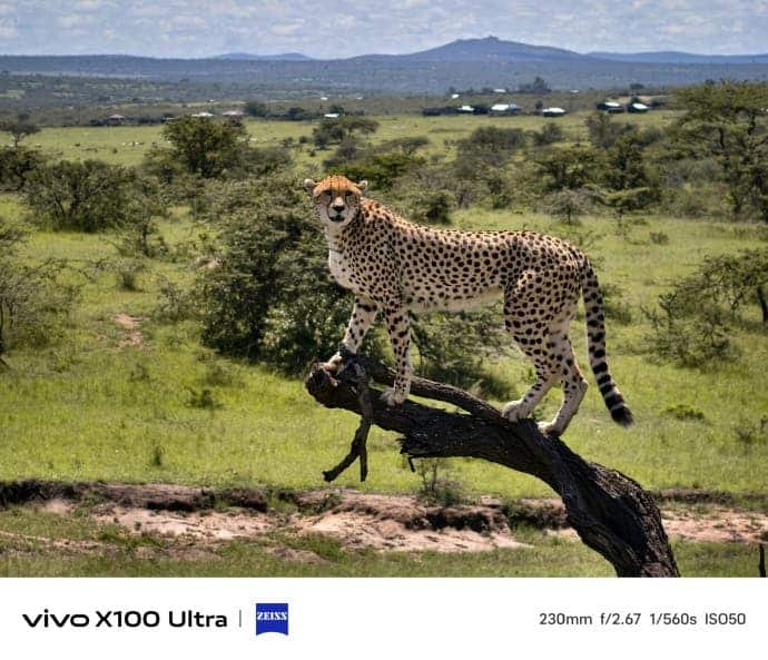 vivo x100s ultra iphone 15 pro max