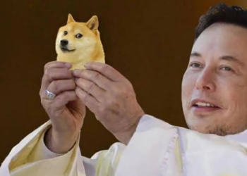 dogecoin köpeği doge köpeği kabosu