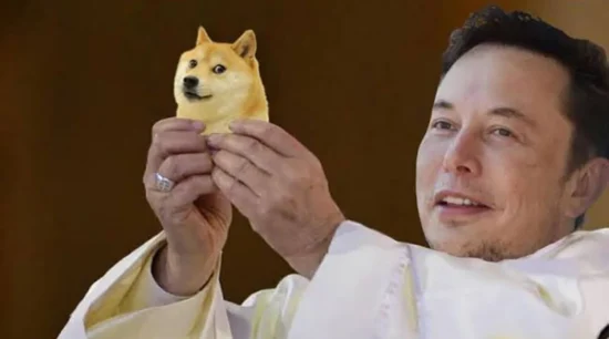 dogecoin köpeği doge köpeği kabosu