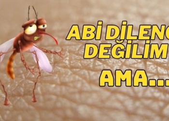 sarhoş meyve sineği deneyi