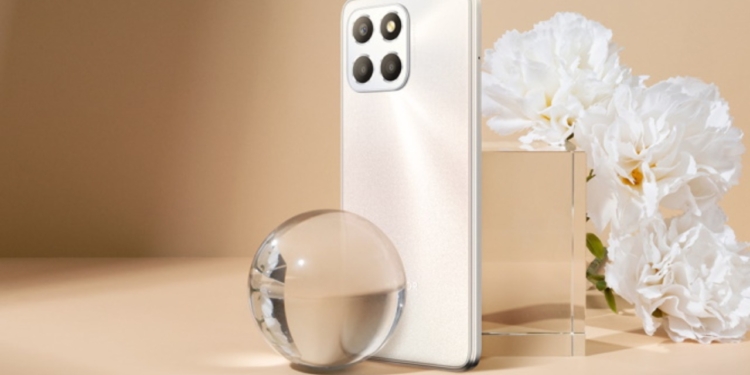 Honor X6b