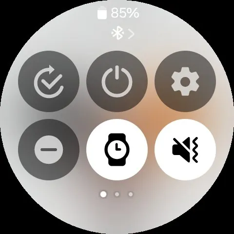 One UI 6 Watch beta