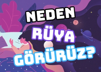 Neden rüya görürüz? Rüya türleri nelerdir? İşte rüyaların açıklaması