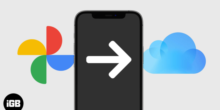 Google Fotoğraflar
