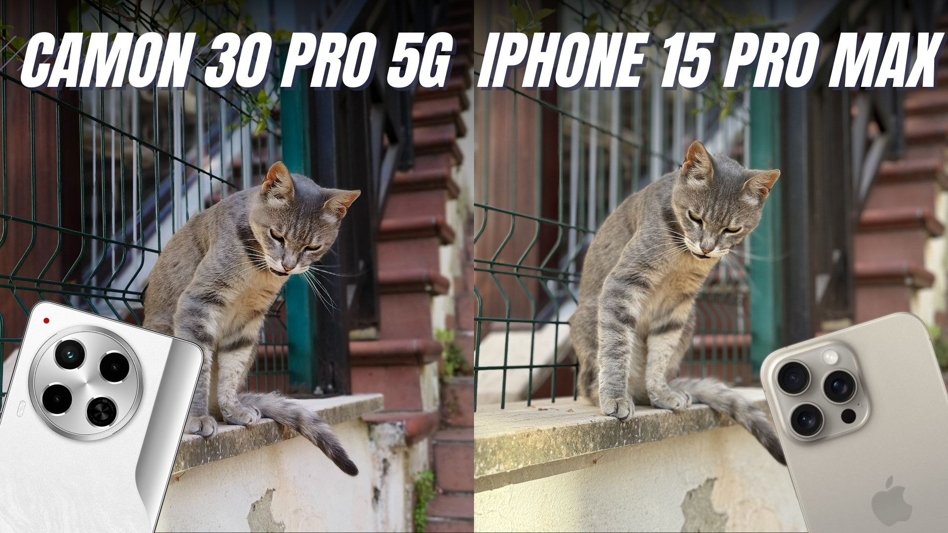 Tecno Camon 30 Pro 5g Vs Iphone 15 Pro Max Hangisi Daha Iyi Portre