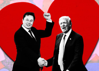 Elon Musk Donald Trump
