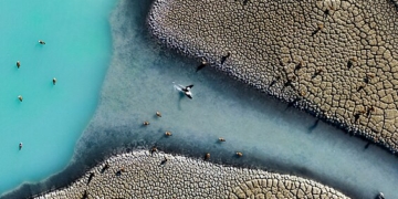 Wiki Loves Earth 2024 Türkiye fotoğrafı olay oldu!
