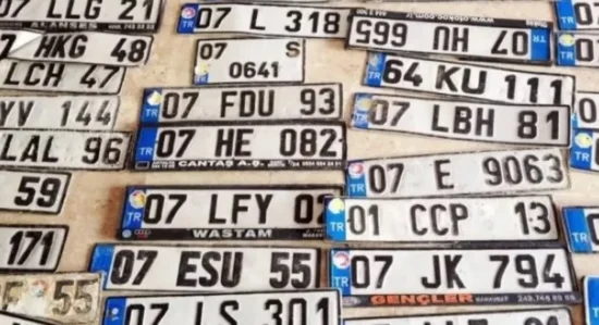 e-devlet plaka yenileme