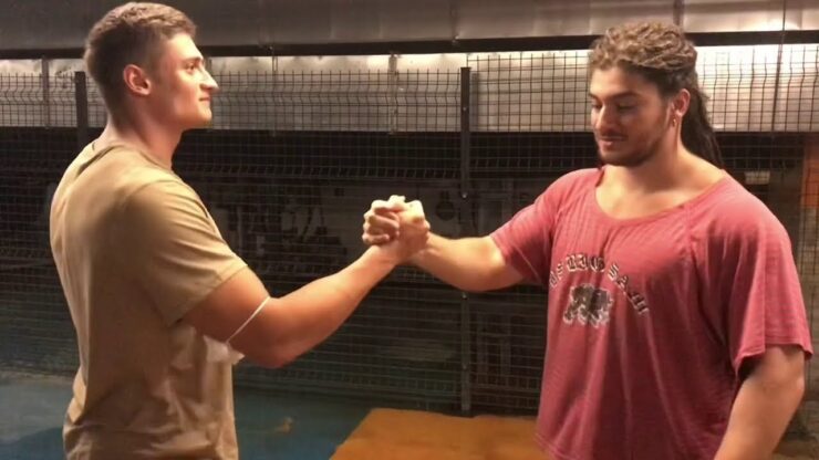 testo taylan gokalaf boks