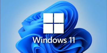 Windows 11