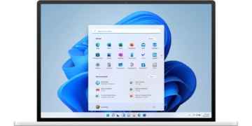 Windows 11