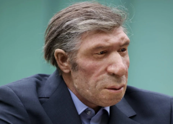 Neandertal Nedir, Ne Demek, Kimlere Denir?