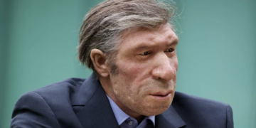 Neandertal Nedir, Ne Demek, Kimlere Denir?
